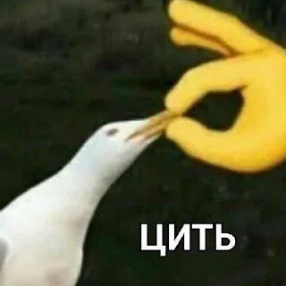 🤐 emoji А я шо знаю Telegram sticker 13 of 120