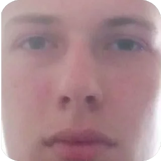 🫥 emoji artem chort Telegram sticker 20 of 42