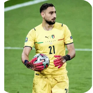 🏟 emoji Яся жена Роналду Telegram sticker 18 of 85