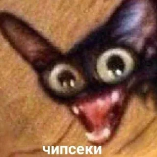 🥔 emoji Диалоги тет а тет Telegram sticker 18 of 110