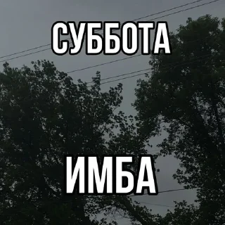 Sticker from на все случаи жизни