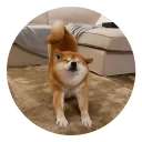 😌 emoji Пёсели Telegram sticker 2 of 47