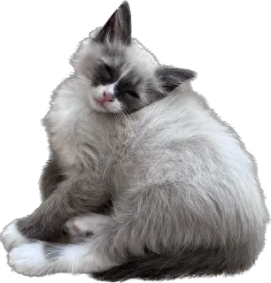 🤔 emoji Мистер Лео Telegram sticker 11 of 23