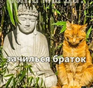 Sticker from будда одобряет