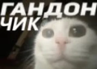 🥺 emoji GANDONI Telegram sticker 7 of 31