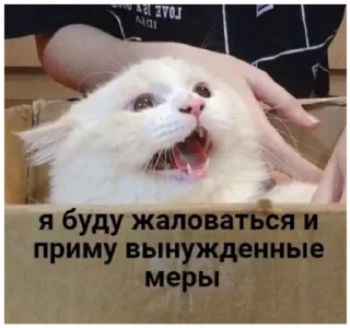 😿 emoji Стикеры от @CavidBagirow Telegram sticker 7 of 116