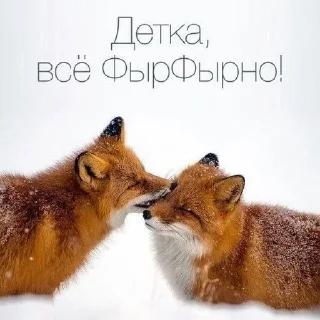 Sticker from Fox°•