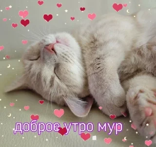 🤗 emoji Нико Telegram sticker 6 of 120