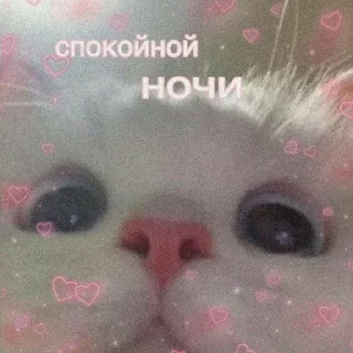 Sticker from Нико