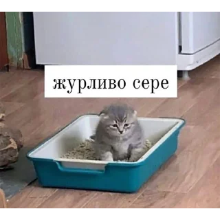 ☹️ emoji життє Telegram sticker 21 of 75