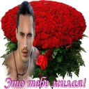 🌹 emoji Local Rofls Telegram sticker 12 of 56