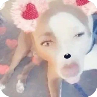 💋 emoji Сигма маши Telegram sticker 9 of 13