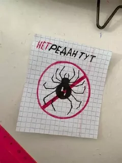 👌 emoji 🕷️ ПАУКИ - @redanzbs 🤍 Telegram sticker 13 of 48