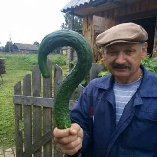 🥒 emoji да, я такая Telegram sticker 18 of 18