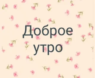 Sticker from Для канальчиков 🫶🏻🪽