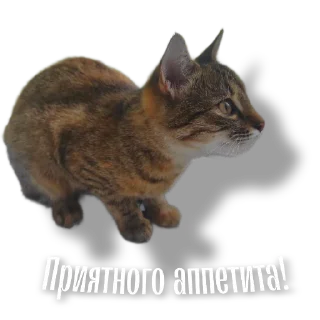 🍞 emoji Beseda FLP Telegram sticker 2 of 88