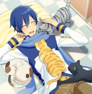🐈 emoji KAITO ! *.✧ Telegram sticker 9 of 38