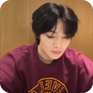 🌟 emoji JEONING |@STRAYKIDS_WIENER| Telegram sticker 18 of 22