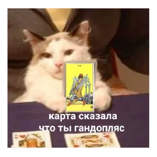 Sticker from тарошка