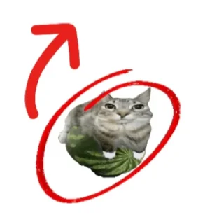 🐱 emoji А я хз чо @z4zuc Telegram sticker 9 of 18