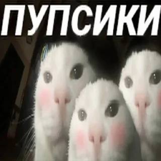 ❤️ emoji Гандоны (пошёл нахуй) Telegram sticker 5 of 10