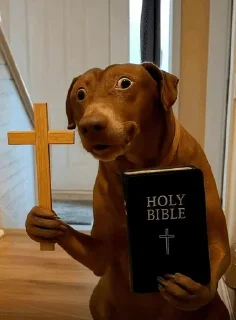 🙏 emoji Файні скатеняки Telegram sticker 22 of 120