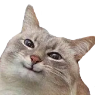 😏 emoji @nullchdays рандомное Telegram sticker 5 of 120