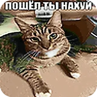 👺 emoji кьюти герл эмпайр @cutekast Telegram sticker 19 of 39