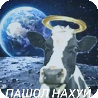👍 emoji кьюти герл эмпайр @cutekast Telegram sticker 22 of 39