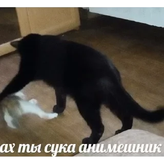 😡 emoji Больше стикеров: @stikery_180 Telegram sticker 1 of 40