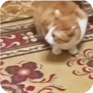 🔳 emoji василий Telegram sticker 21 of 32
