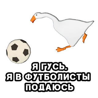 ⚽️ emoji КуплиГусь @stikernutui Telegram sticker 6 of 16