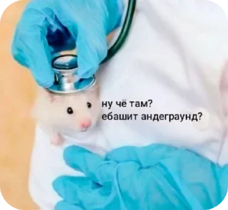 🌟 emoji А вот да - пизд@ Telegram sticker 12 of 43