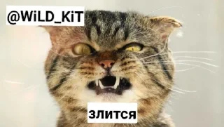 😾 emoji Шип Быдлобот и его фури Telegram sticker 14 of 35