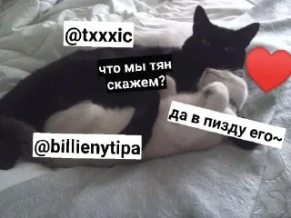 😘 emoji Шип Быдлобот и его фури Telegram sticker 10 of 35