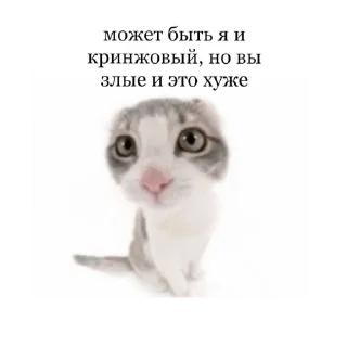 ☹ emoji жески бро Telegram sticker 16 of 27