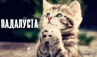 🙏 emoji Самые ахуенные стикеры Telegram sticker 14 of 114