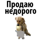 😉 emoji @TVstickers Sign up Telegram sticker 10 of 21