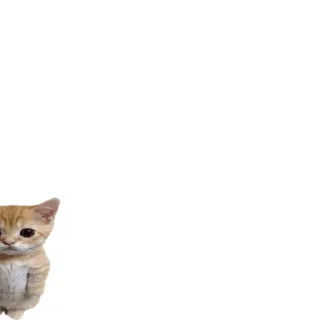 🤢 emoji коты Telegram sticker 11 of 20