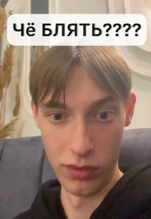 Sticker from УтятА-ПупСятА🐤