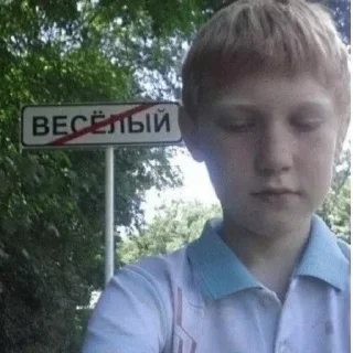 😔 emoji Надин пак Telegram sticker 7 of 81