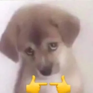 👉 emoji Кирилл лучший 💗💍 Telegram sticker 23 of 115