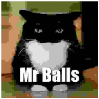 🌟 emoji Mr Balls Telegram sticker 8 of 35