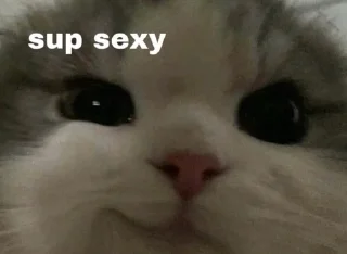😎 emoji йой by іринка Telegram sticker 24 of 120
