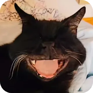 👍 emoji Петя😱 @MoiStikiBot Telegram sticker 20 of 120