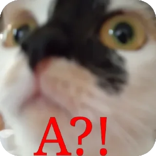 🤨 emoji Роксиси Telegram sticker 19 of 22