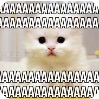 🐱 emoji Пикчи/// от солевой<3 Telegram sticker 14 of 120