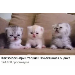 🐱 emoji Пикчи/// от солевой<3 Telegram sticker 21 of 120