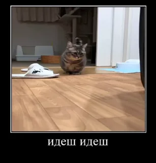 😶 emoji солевой @iam13yo Telegram sticker 8 of 50