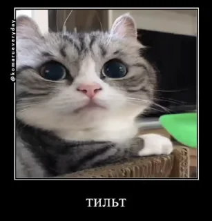 😡 emoji солевой @iam13yo Telegram sticker 22 of 50